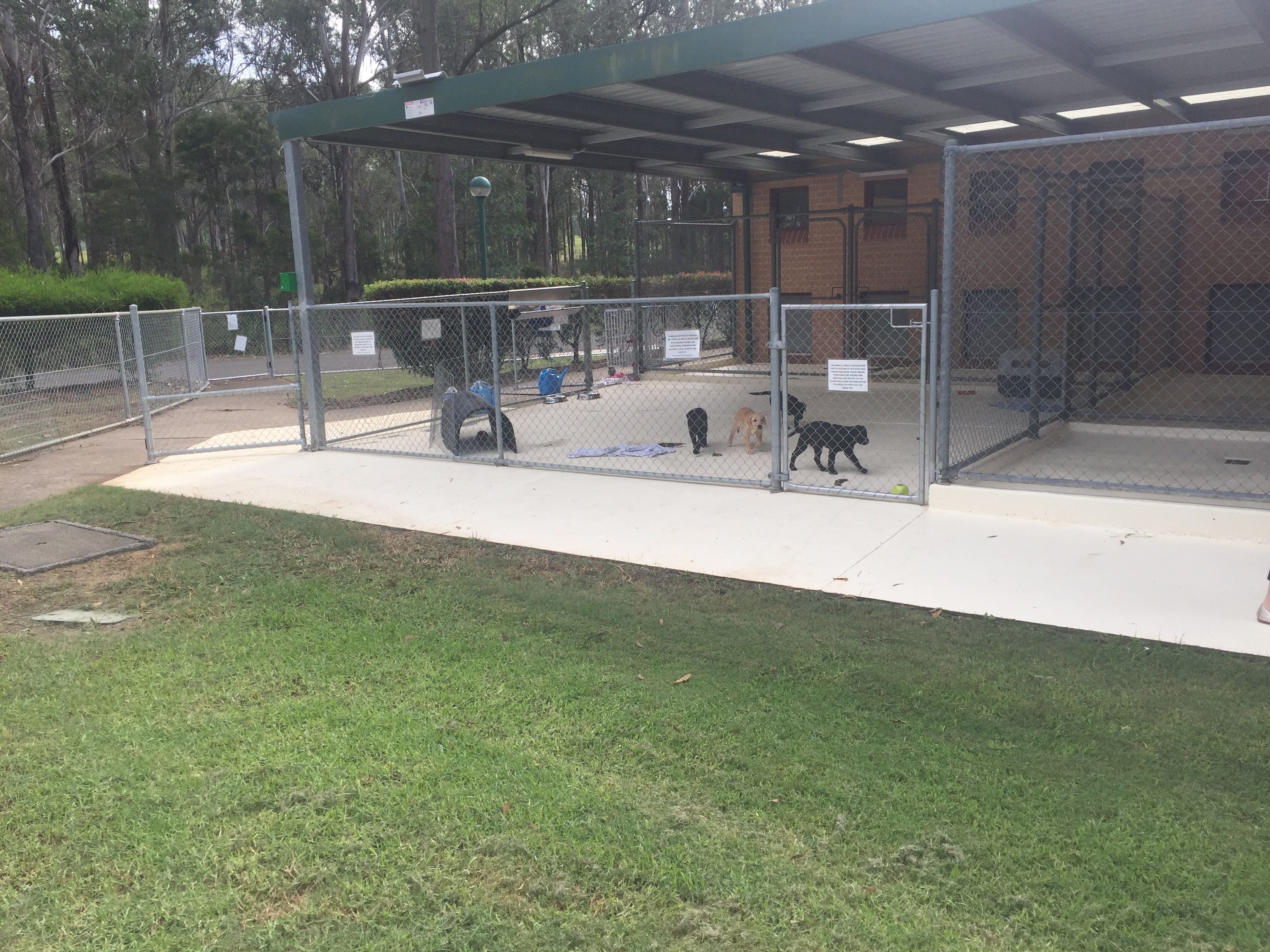 Guide Dogs NSW Day Tour Image -5b1625e68e367